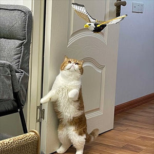 Kittystar fliegendes Katzenspielzeug